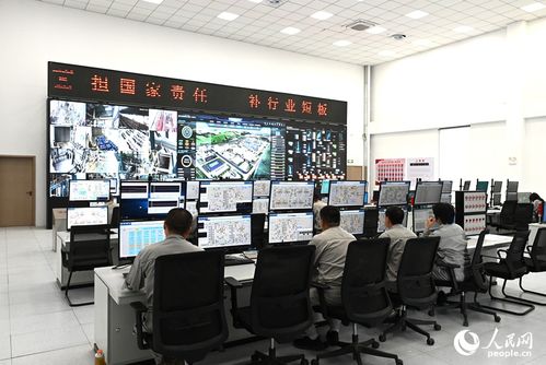 向智向綠，雙輪驅(qū)動(dòng) 技術(shù)咨詢助力中國硅基材料產(chǎn)業(yè)破局前行