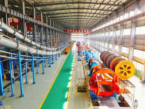 冠軍實力鑄就國家級榮譽 梅州軟件開發產業的崛起與展望